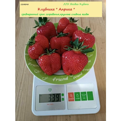 ������ ������ �������� 