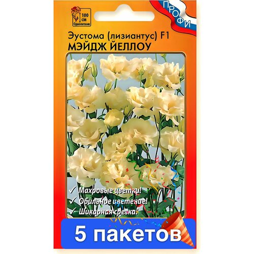 ������ ������ ����� ������� ��������� ����� ������ F1 5 ������� ����