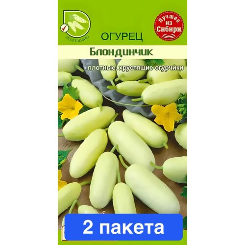 ������ ������ ������ ������ ������ ����� 