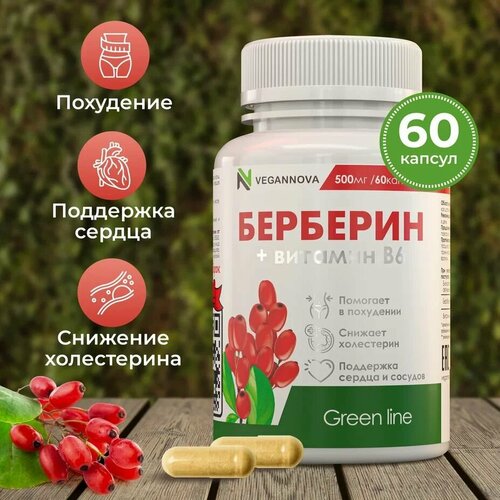 ������ ������ Vegannova ��� �������� � ��������� B6, 60 ������ �� 635 �� ����