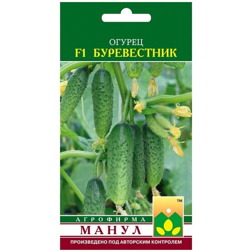 ������ ������ ������ ����� 