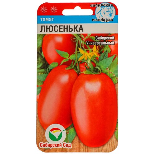 ������ ������ ������ ����� 