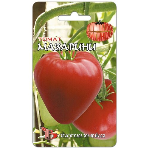 ������ ������ ����� �������� ������� ����� (������ ���������� 20��) ����