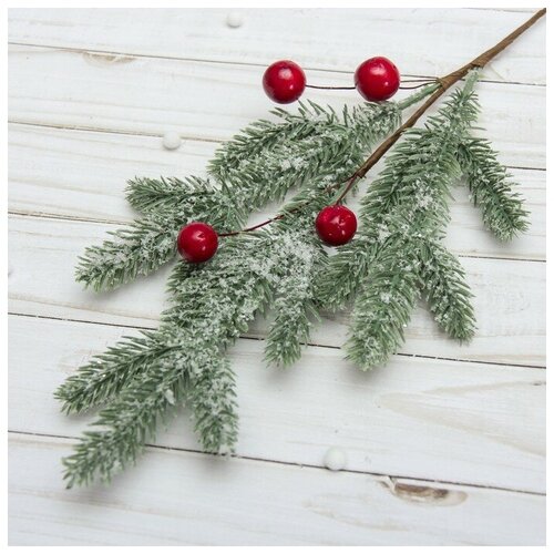 ������ ������ ����� 