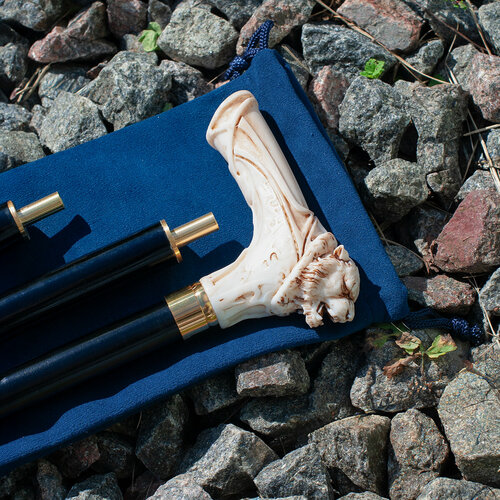 ������ ������ ������ ���������� ���� ����