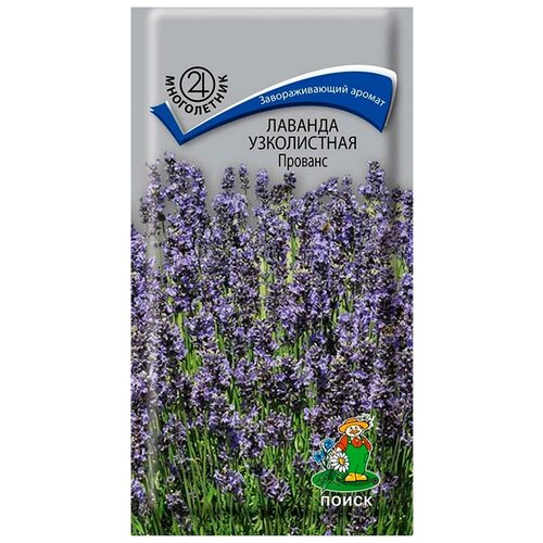 ������ ������ ������ ������� ����������� ������� 0,1 �� ����