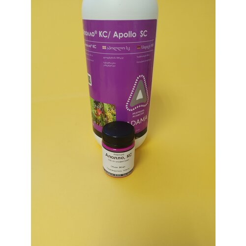 ������ ������ �������� ������ 50 �� ����