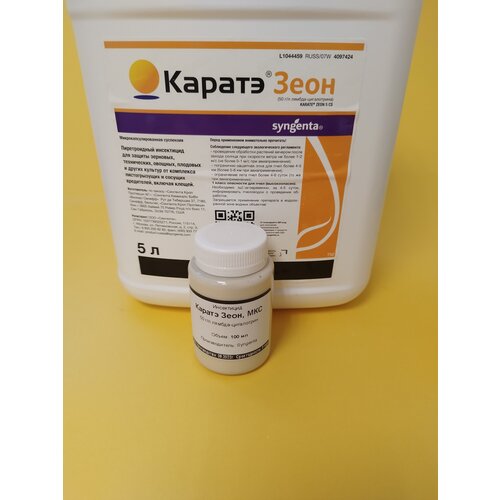 ������ ������ ���������� ������ ���� �� ���������-���������� 100 �� ����