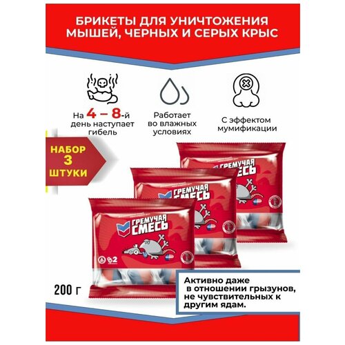 ������ ������ �������� �����_���� �����-������� �� ���� � �����_3 ��. ����