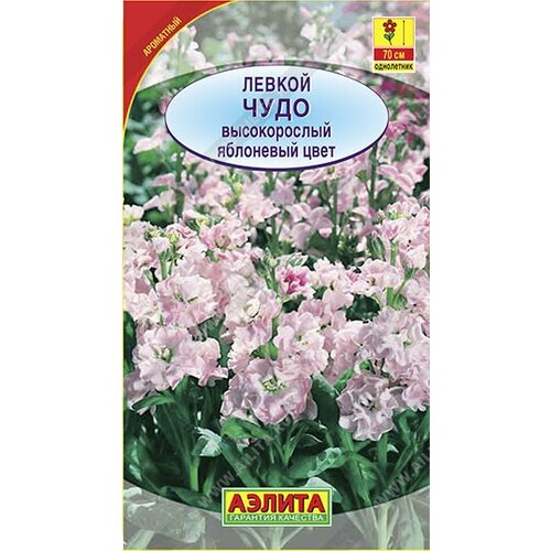 ������ ������ ������ 