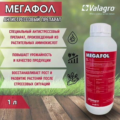 ������ ������ ������� �������������� �������� �� ������������ �����������, 1 � ����