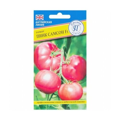 ������ ������ ������ ����� ���� ������ F1 5�� ����� (�������) ����