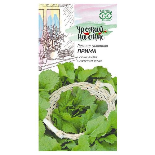 ������ ������ ������ ������ ������ �� ���� ������� �������� ����� 1 � ����