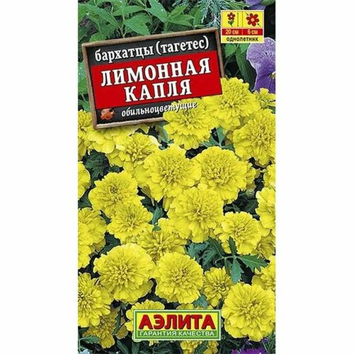 ������ ������ �������� 