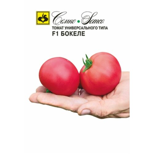 ������ ������ ������ ����� ������ F1 0,1� ��� ������ (�����) ����