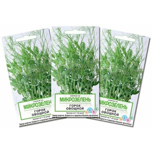 ������ ������ ������ �� ����������� ����� �������, 3 �������� �� 10 ��. ����������� �������� �������� � ���������. ������������ �������� ������ � ����� ����