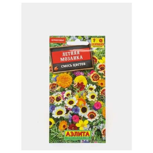 ������ ������ ������. ����� ������ 