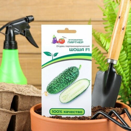 ������ ������ ������ ������ 