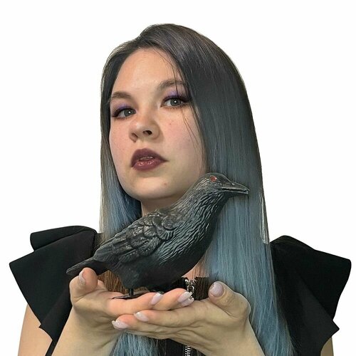 ������ ������ ����� 