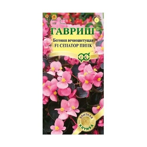 ������ ������ ������ ������� ������ ������� ���� F1 ��������� 4 ��. ����