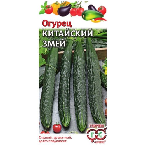 ������ ������ ������ ������ ������ ��������� ���� 0,5 �, 10 ��. ����