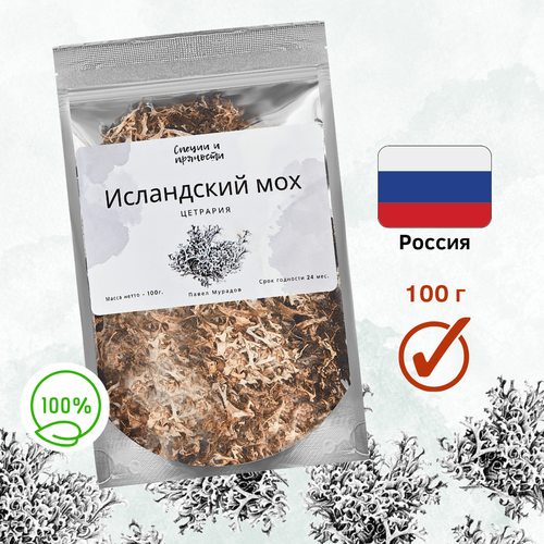 ������ ������ ���������� ��� - �������� ����