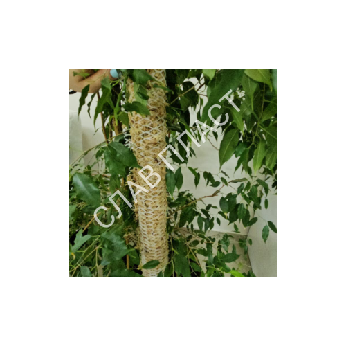 ������ ������ ����� ��� �����-����� ��� �������� 10�10 (1�0,4) ����� ����