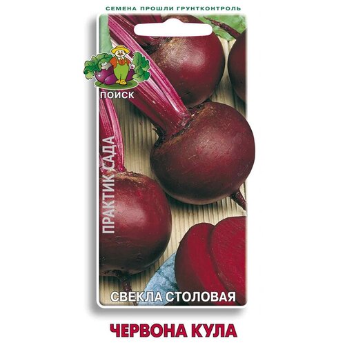 ������ ������ ������ �������� ������� ���� ����