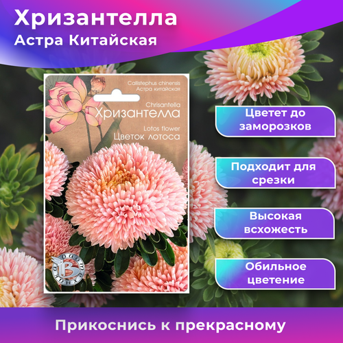 ������ ������ ������ ����������� 