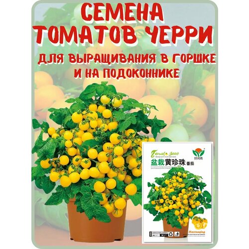 ������ ������ ������ ��������� ����� ��� ������� � ����������� ����