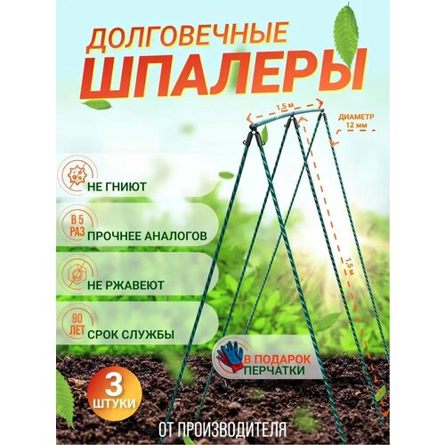 ������ ������ ����������� ������� �� �������������� (D 12��.) 150 � 150 ��. ��.-3��. ������������ - ������ ����