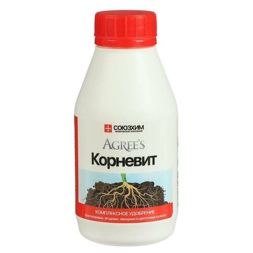 ������ ������ ����������� ��������� 