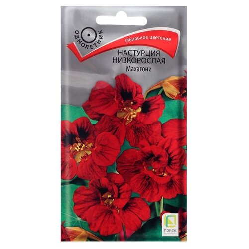 ������ ������ ������ ����� ��������� ����������� �������� 1 � ����