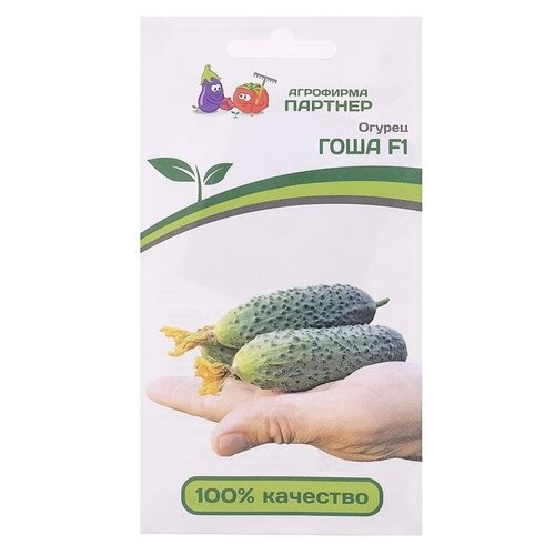 ������ ������ ��������� ������� ������ ������ 