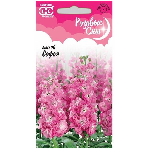 ������ ������ ������ ������ ������� ��� ����� ����