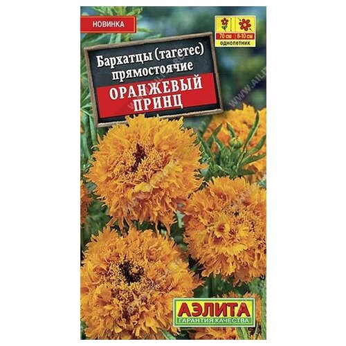 ������ ������ ������. �������� 