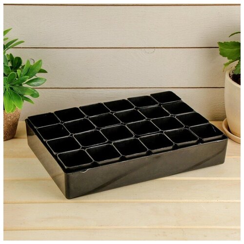 ������ ������ ����� ��� �������: ������ 70 �� - 24 ��, ������ 189119 ����