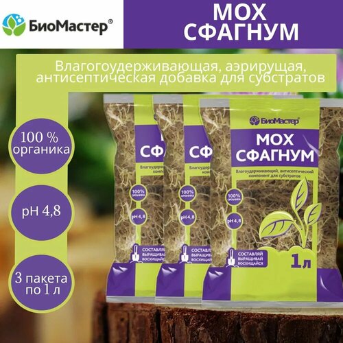 ������ ������ �������� ��� �������, 3 ������ �� 1 � ����