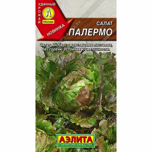 ������ ������ ������ ����� �������, �������� (������) 0,5� ����