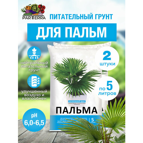 ������ ������ �������� ����������� ����� ��� ����� 5�, 2 ����� ����