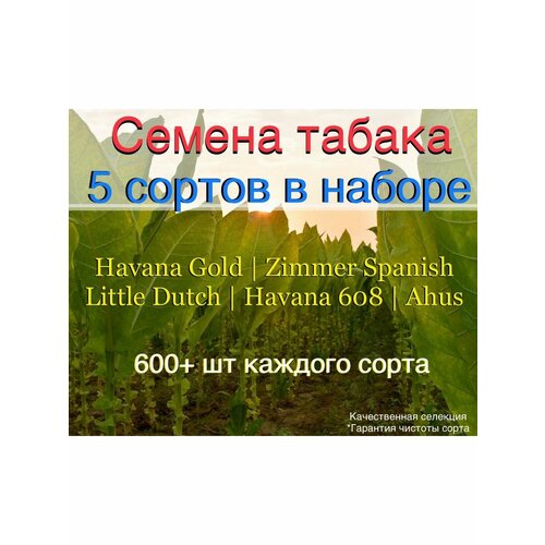 ������ ������ ������ Masloff-tobacco ����