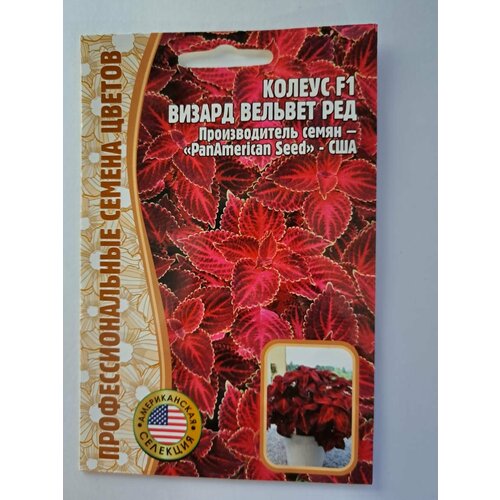 ������ ������ ������ ������ ������� ��� F1 5 �� ������ ������ (2 �������� � ������) ����