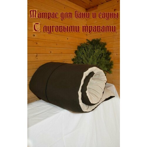 ������ ������ SENO OK ������ ��� ���� � ����� � �������� ������� ����