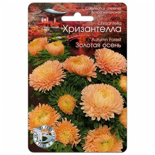 ������ ������ ������ ����� ��������� 