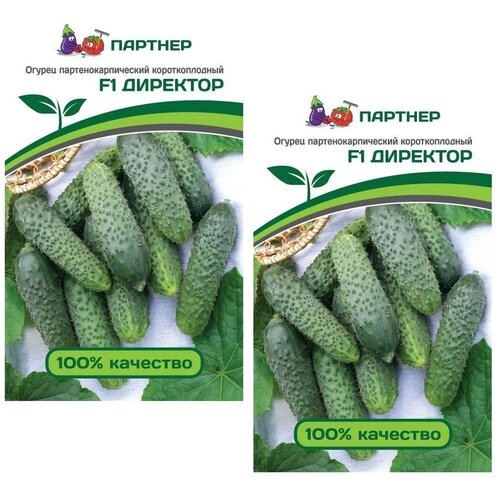 ������ ������ ������ ������ �������� F1 /��������� �������/ 2 �������� �� 5 ����� ����