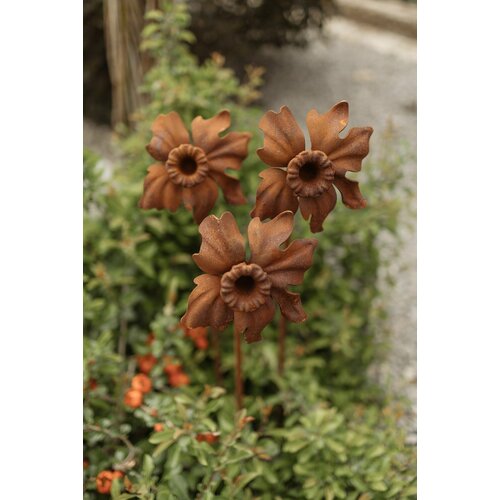 ������ ������ ������� ����� �� ������ ������� ������ ����