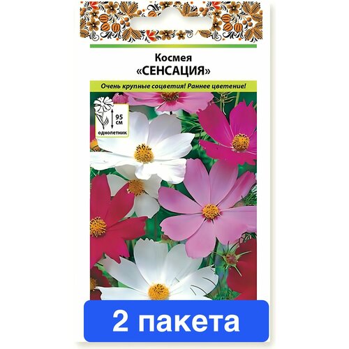 ������ ������ ����� ������ �������� 2 ������ ����