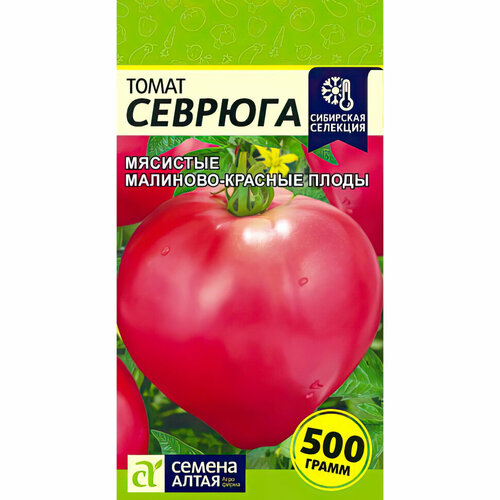 ������ ������ ������ ������ 