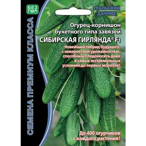 ������ ������ ������ ������ ��������� �������� F1 (��) �/� ����