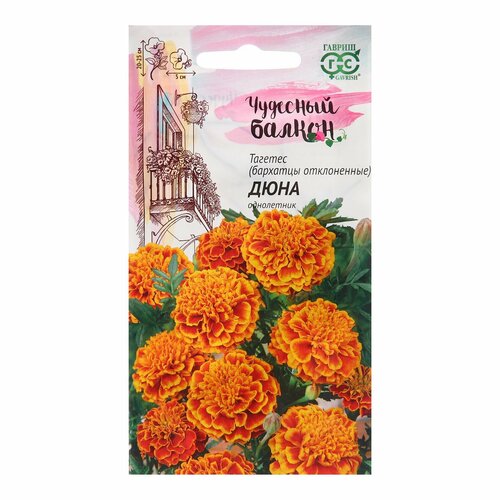 ������ ������ ������ �������� 